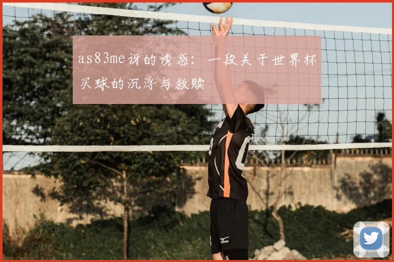 as83me讶的诱惑:一段关于世界杯买球的沉浮与救赎