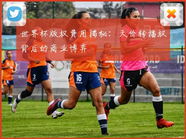 世界杯版权费用揭秘：天价转播权背后的商业博弈