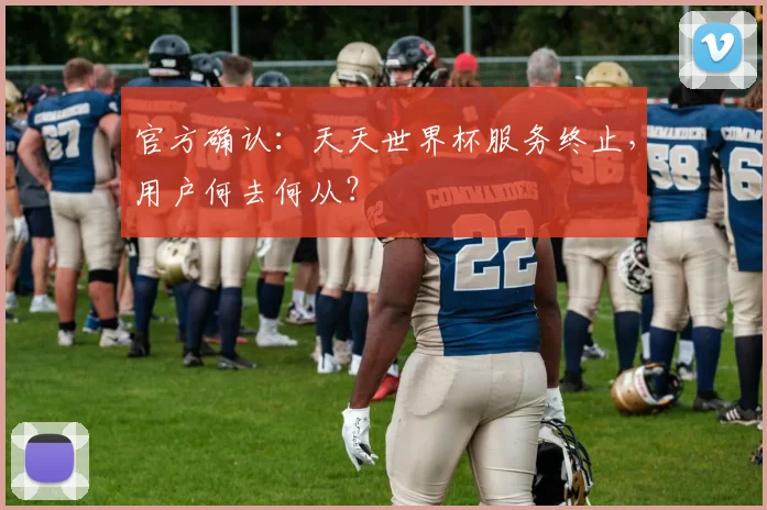 官方确认：天天世界杯服务终止，用户何去何从？