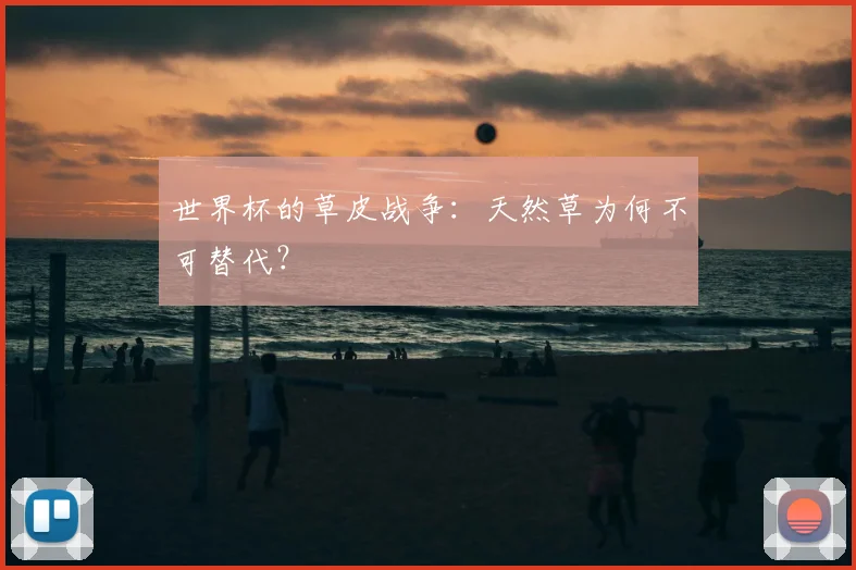 世界杯的草皮战争：天然草为何不可替代？