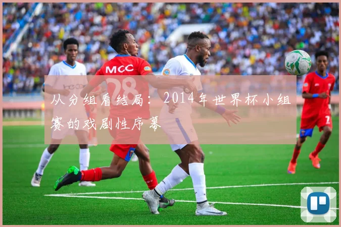 从分组看结局:2014年世界杯小组赛的戏剧性序幕