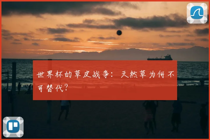 世界杯的草皮战争：天然草为何不可替代？