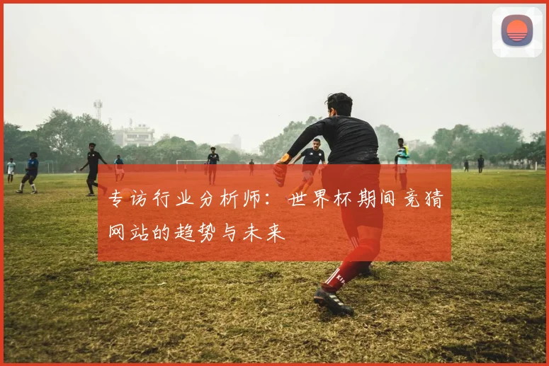 专访行业分析师：世界杯期间竞猜网站的趋势与未来