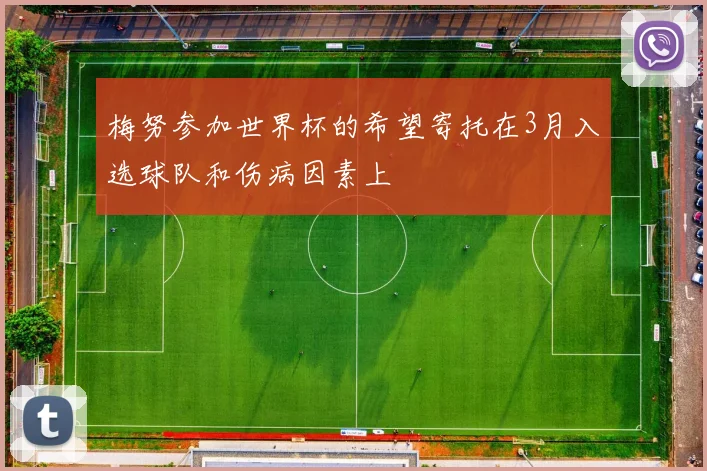 梅努参加世界杯的希望寄托在3月入选球队和伤病因素上